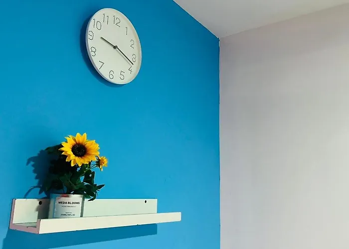 Nicest Partition Room In Barsha Heights Near Internet City Metro